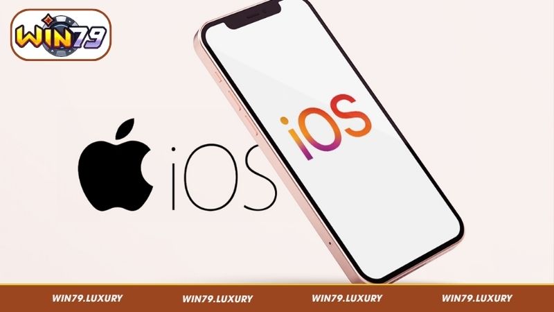 Lý do bạn nên chọn tải app Win79 về thiết bị